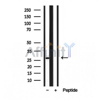Валидация Affinity DF12023 - 6041
