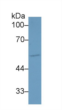 9483