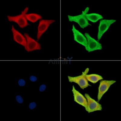 Валидация Affinity DF13885 - 9615