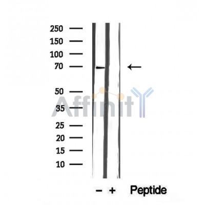 Валидация Affinity DF12406 - 6897
