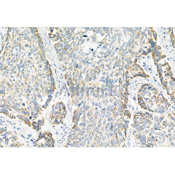 Валидация Affinity DF2816 - 13561