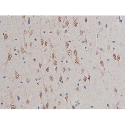 Валидация Affinity AF6335 - 3610