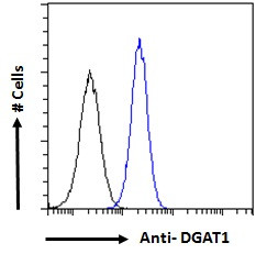Валидация AssayVector ARM1767(2200)