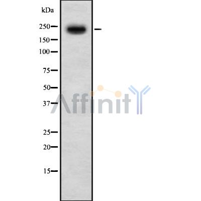 Валидация Affinity DF8374 - 20241