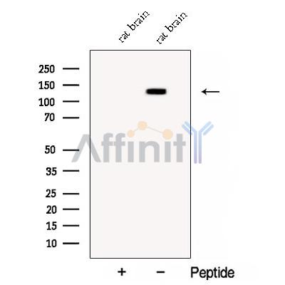 Валидация Affinity DF12904 - 7654