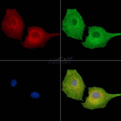 Валидация Affinity DF14335 - 10235