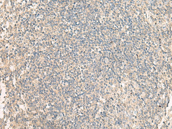 Валидация Elabscience E-AB-18845