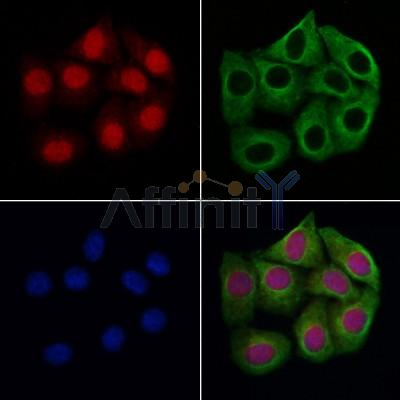 Валидация Affinity DF7410 - 19152