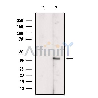 Валидация Affinity DF6871 - 18454