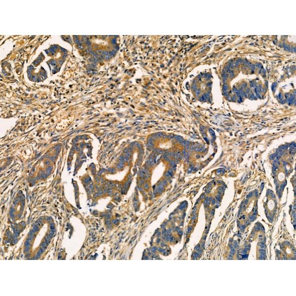 Валидация Affinity AF3751 - 2041