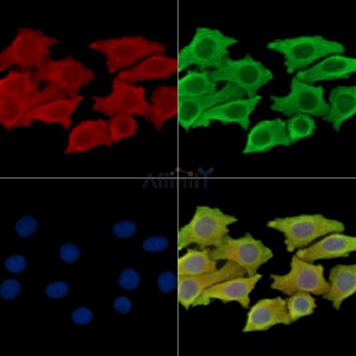 Валидация Affinity DF15095 - 11340