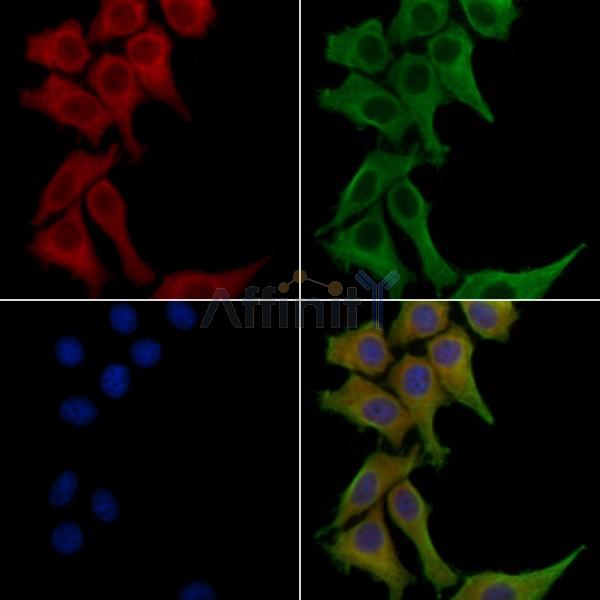 Валидация Affinity DF10151 - 5678