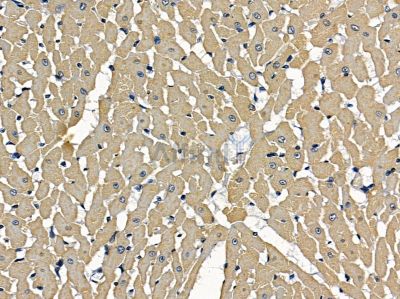 Валидация Affinity DF16120 - 12708