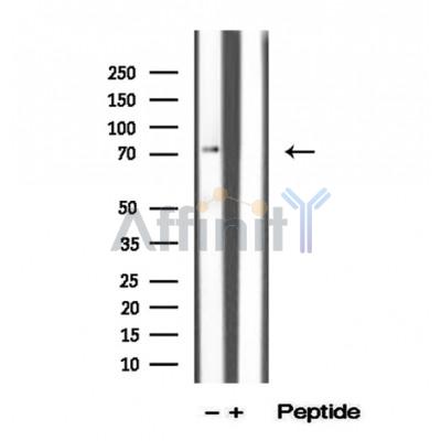 Валидация Affinity DF12293 - 6656