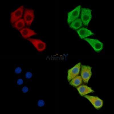 Валидация Affinity DF14036 - 9805