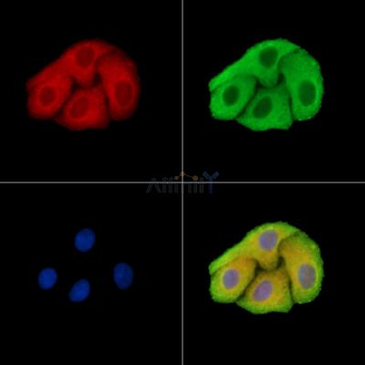 Валидация Affinity DF15361 - 11670