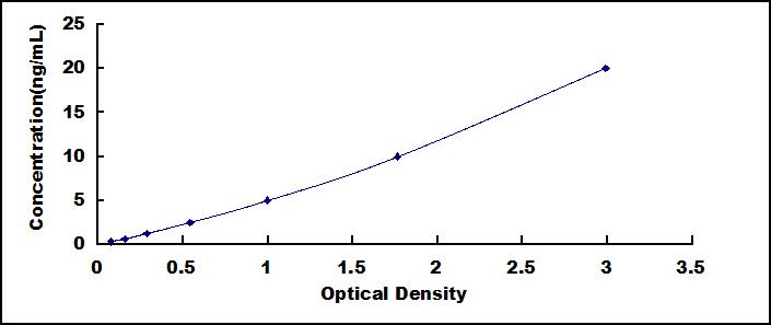 64731