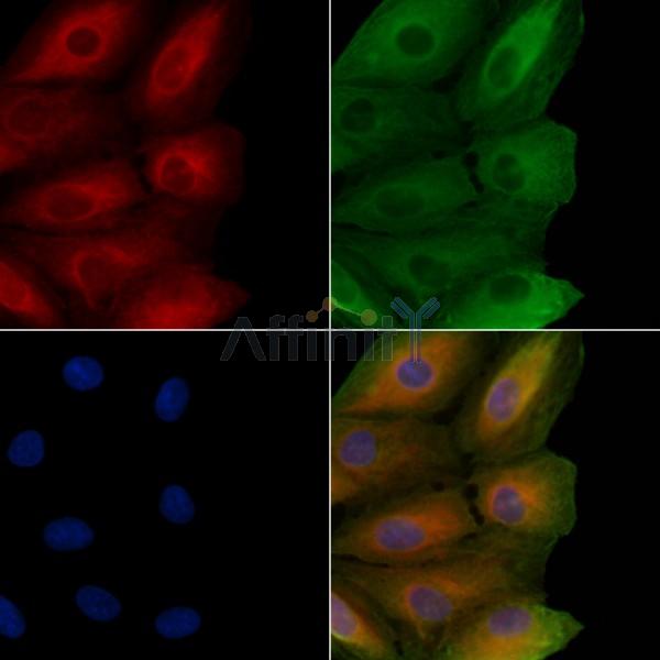 Валидация Affinity DF4221 - 15594