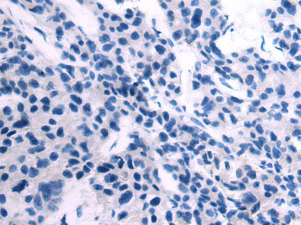 Валидация AssayVector ARM1621(1722)