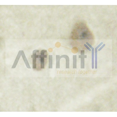 Валидация Affinity AF6459 - 3781