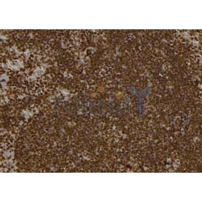 Валидация Affinity DF7250 - 18906