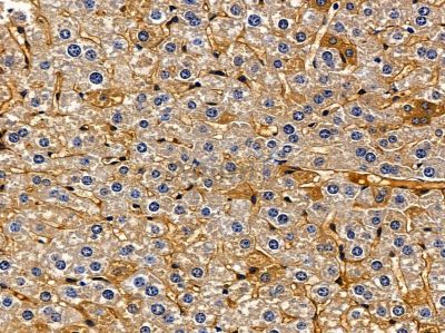 Валидация Affinity DF3688 - 14709