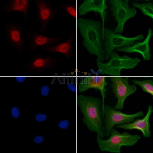 Валидация Affinity DF3421 - 14324