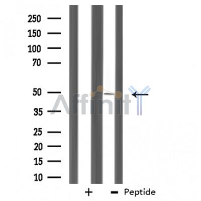 Валидация Affinity DF3101 - 13858