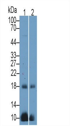11063
