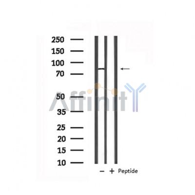 Валидация Affinity DF6267 - 17562