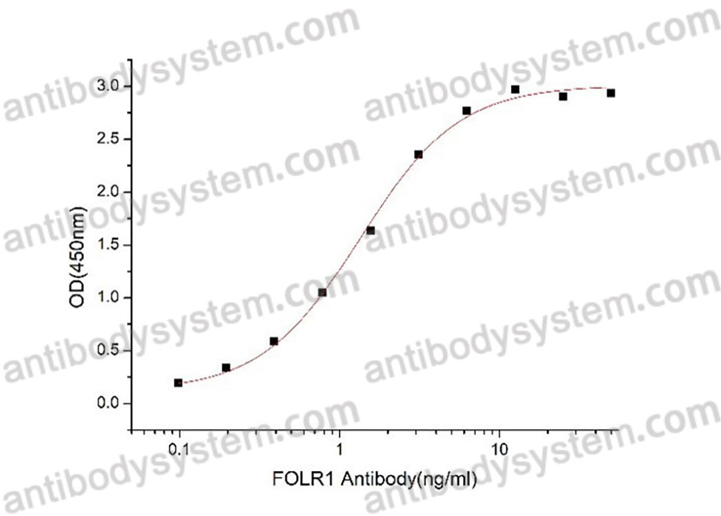 Валидация активности AntibodySystem AHD10401