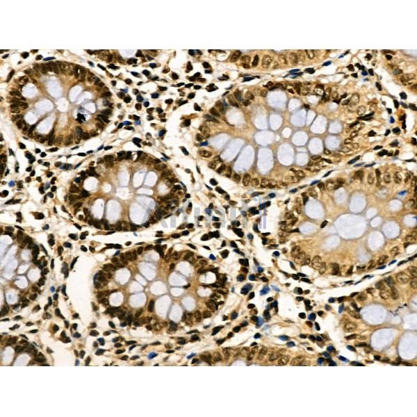 Валидация Affinity DF3125 - 13903