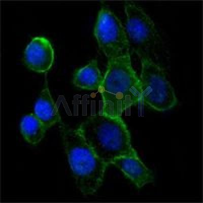 Валидация Affinity BF9214 - 5429