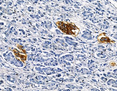 Валидация Affinity DF13784 - 9455