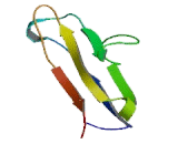 Cell Adhesion Molecule 4 (CADM4) Cell Adhesion Molecule 4 (CADM4)