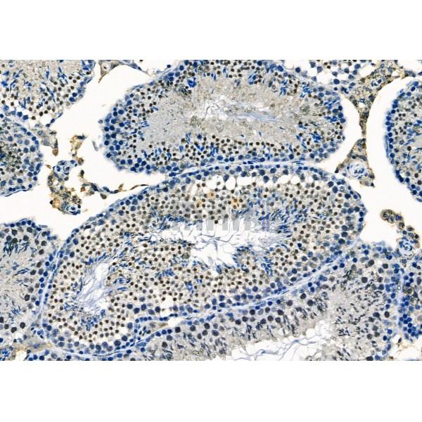 Валидация Affinity DF3642 - 14623