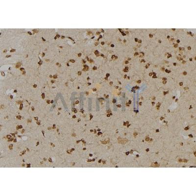 Валидация Affinity DF6743 - 18289