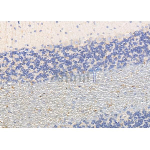 Валидация Affinity DF9954 - 22968