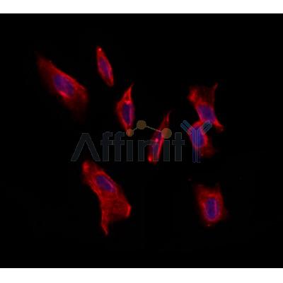 Валидация Affinity DF12329 - 6740