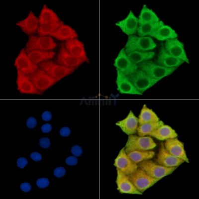 Валидация Affinity DF15001 - 11207