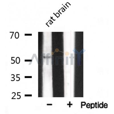 Валидация Affinity AF7012 - 4153