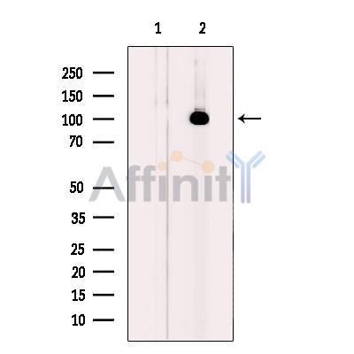 Валидация Affinity DF12129 - 6287