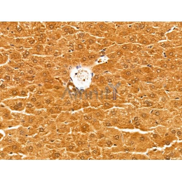 Валидация Affinity DF13562 - 9012