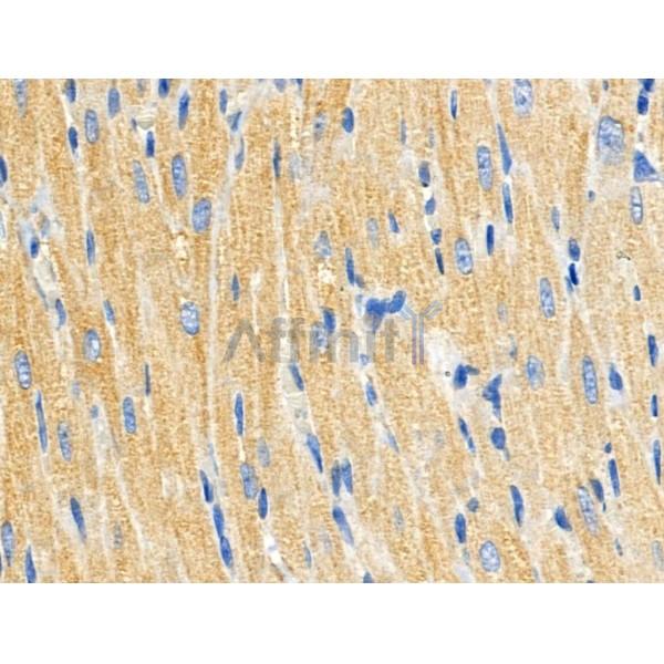 Валидация Affinity DF3959 - 15166