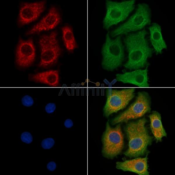 Валидация Affinity AF6732 - 3985