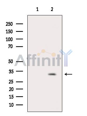 Валидация Affinity DF14143 - 9945