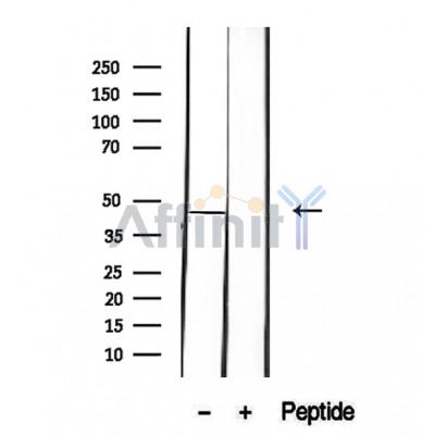 Валидация Affinity DF12280 - 6628