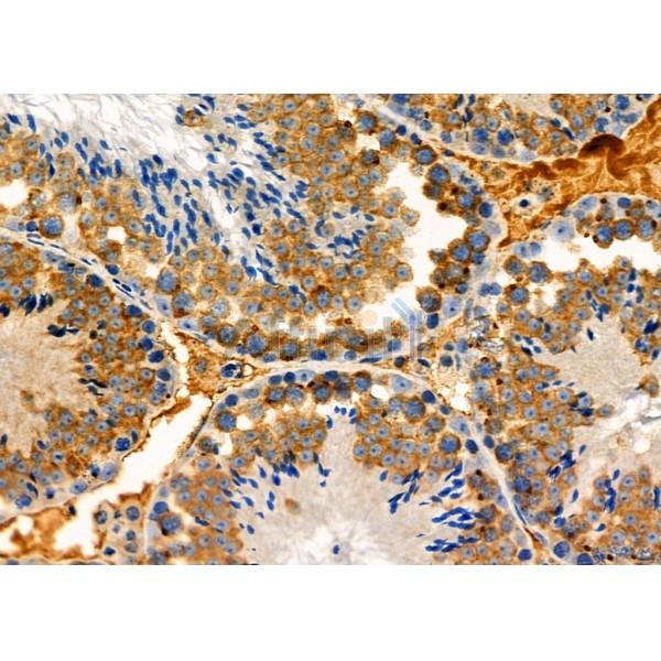 Валидация Affinity DF6676 - 18165