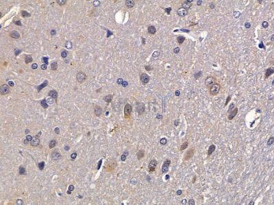 Валидация Affinity DF2373 - 12955