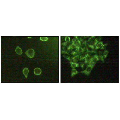 Валидация Affinity BF0640 - 5340